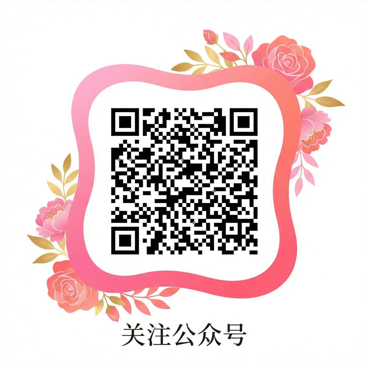 蘑菇视频公众号
